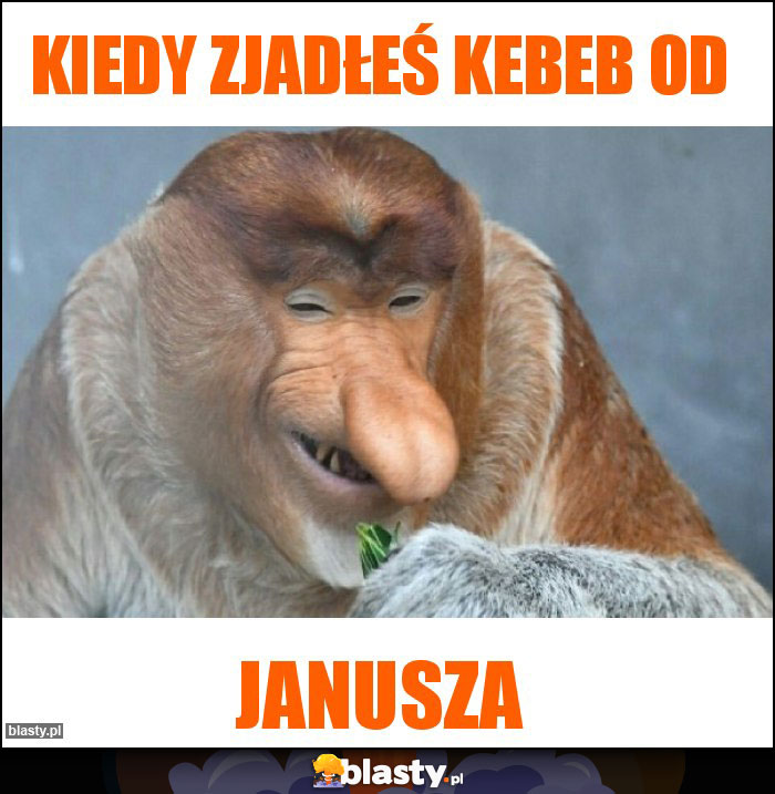 Kiedy zjadłeś kebeb od