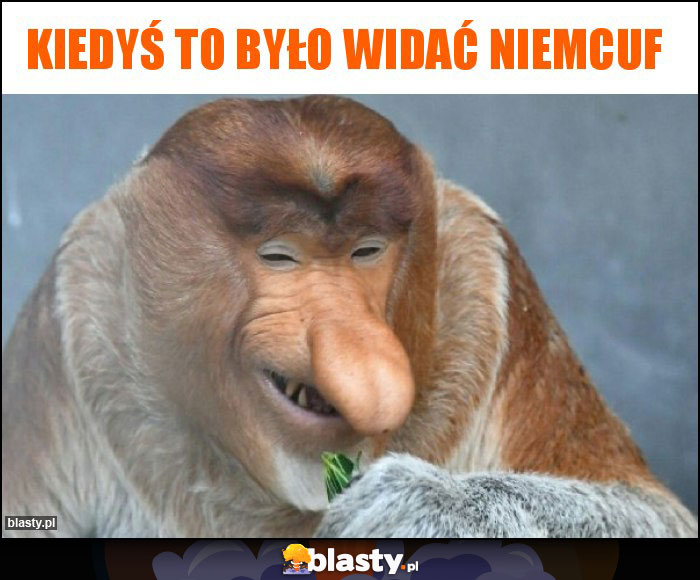 kiedyś to było widać niemcuf