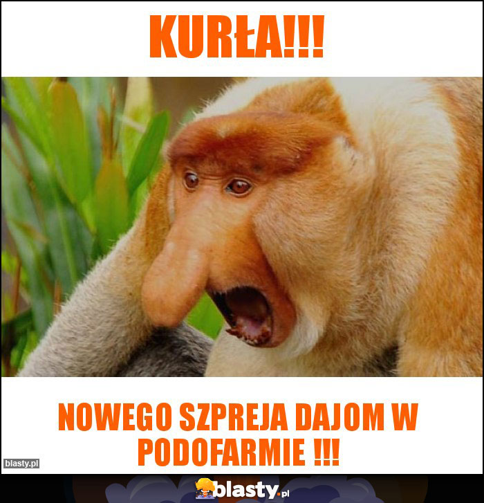 KURŁA!!!