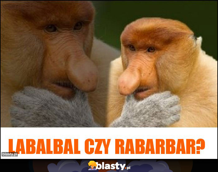 Labalbal czy rabarbar?