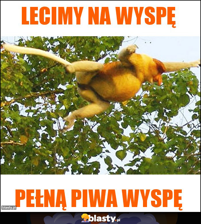 Lecimy na wyspę