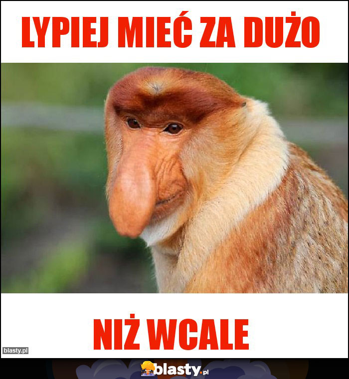 Lypiej mieć za dużo