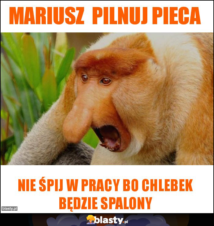 Mariusz  pilnuj pieca