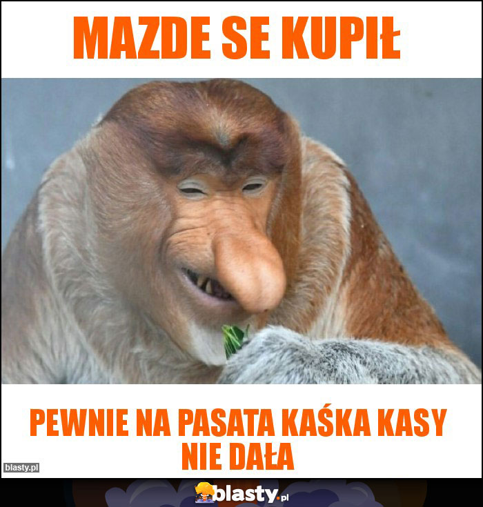 Mazde se kupił