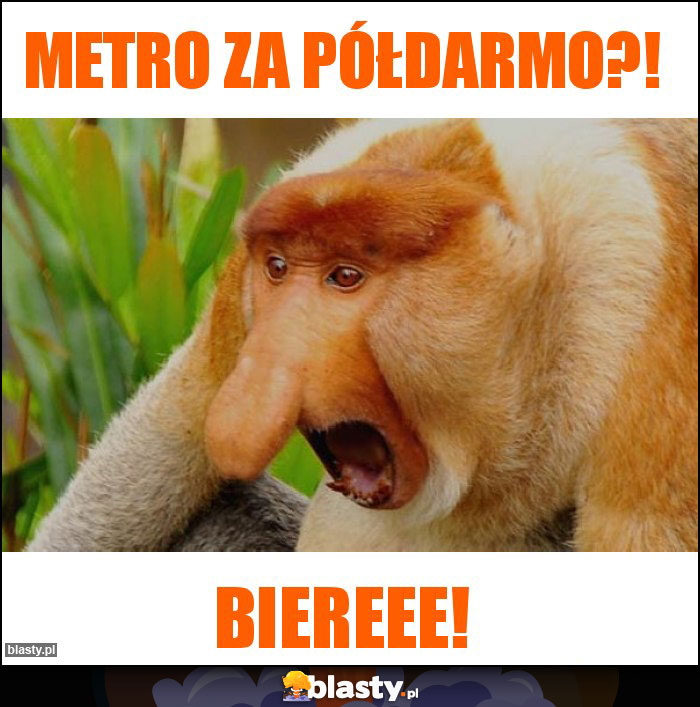 Metro za półdarmo?!