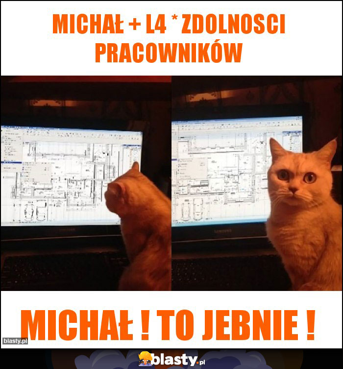 Michał + l4 * zdolnosci pracowników