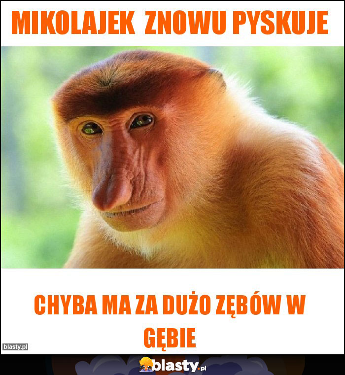 MIKOLAJEK  ZNOWU PYSKUJE