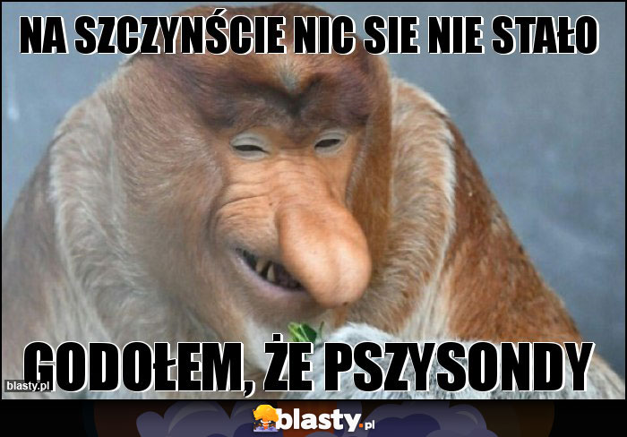 Na szczynście nic sie nie stało