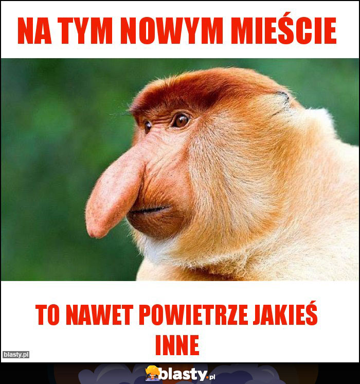 Na tym nowym mieście