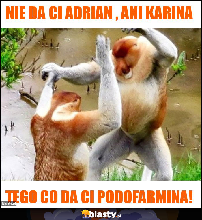 Nie da Ci Adrian , ani Karina