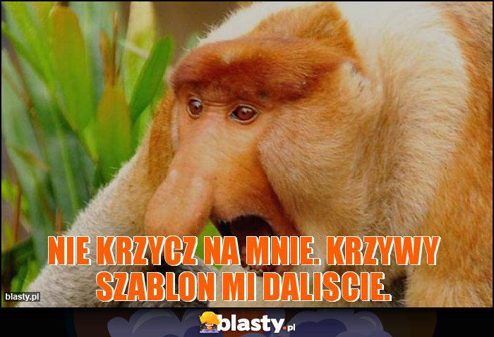 Nie krzycz na mnie. Krzywy szablon mi daliscie.