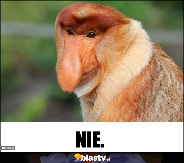 NIE.