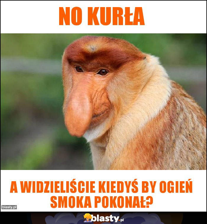 No kurła