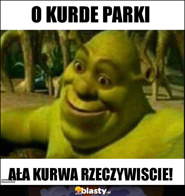 O kurde PARKI