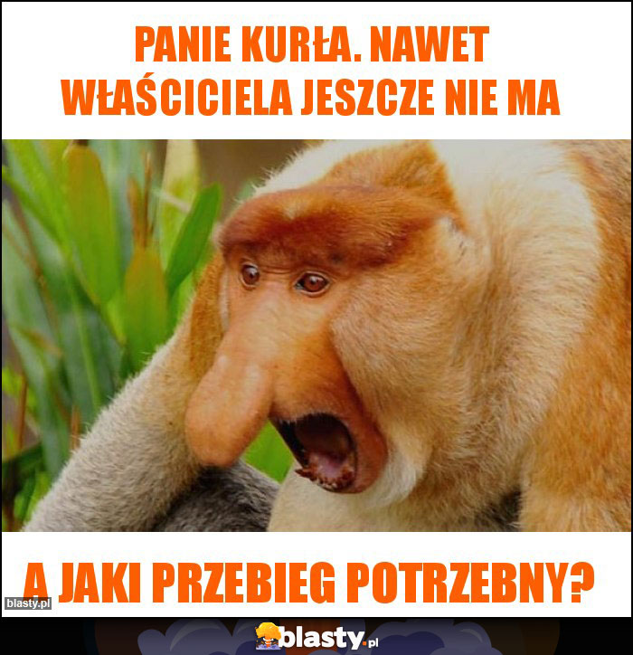 Panie kurła. Nawet właściciela jeszcze nie ma