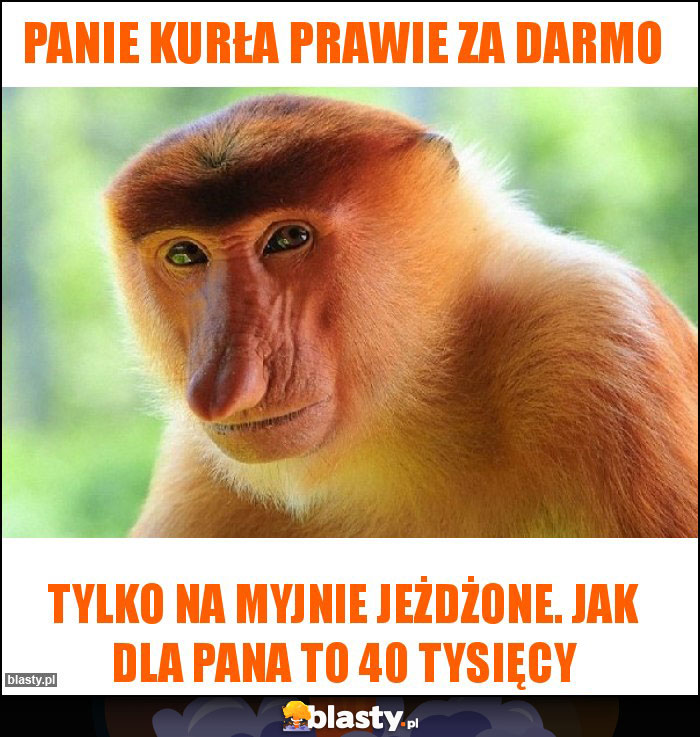 Panie Kurła prawie za darmo