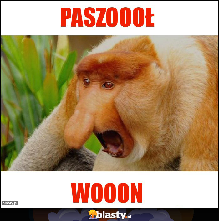 PASZOOOŁ