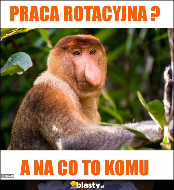 Praca rotacyjna ?