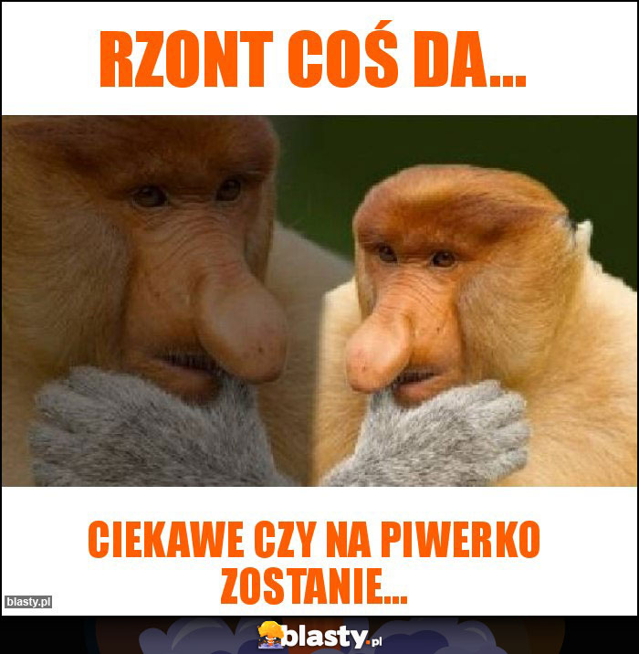Rzont coś da...