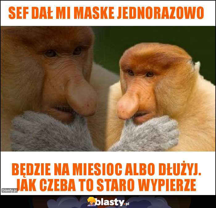 Sef dał mi maske jednorazowo