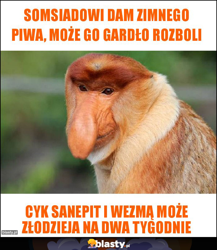 Somsiadowi dam zimnego piwa, może go gardło rozboli