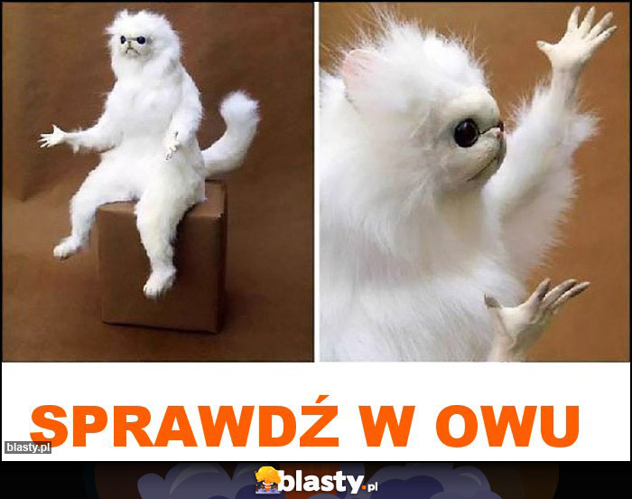 SPRAWDŹ W OWU