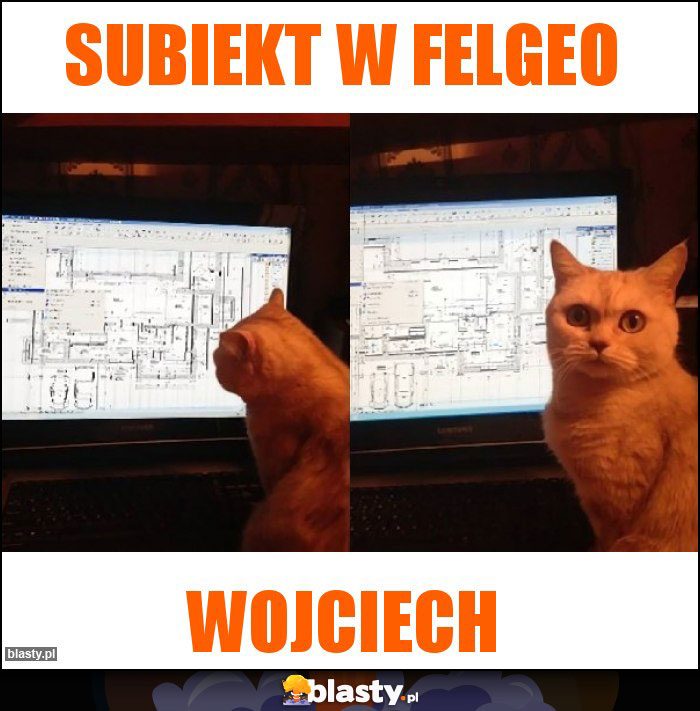 Subiekt w felgeo