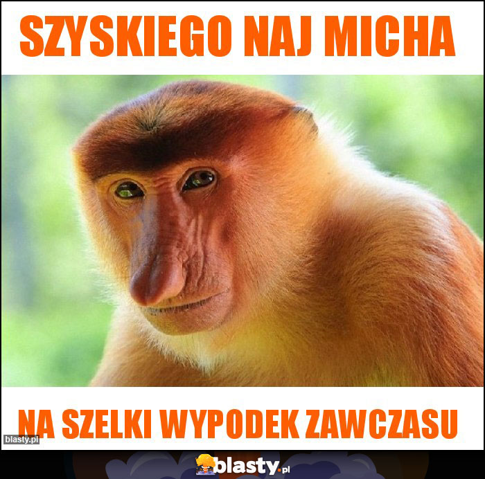 Szyskiego naj Micha