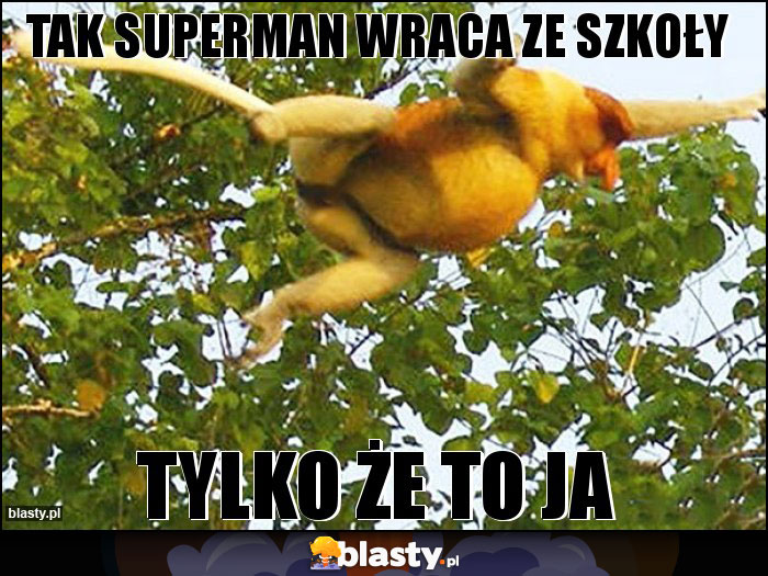 tak superman wraca ze szkoły