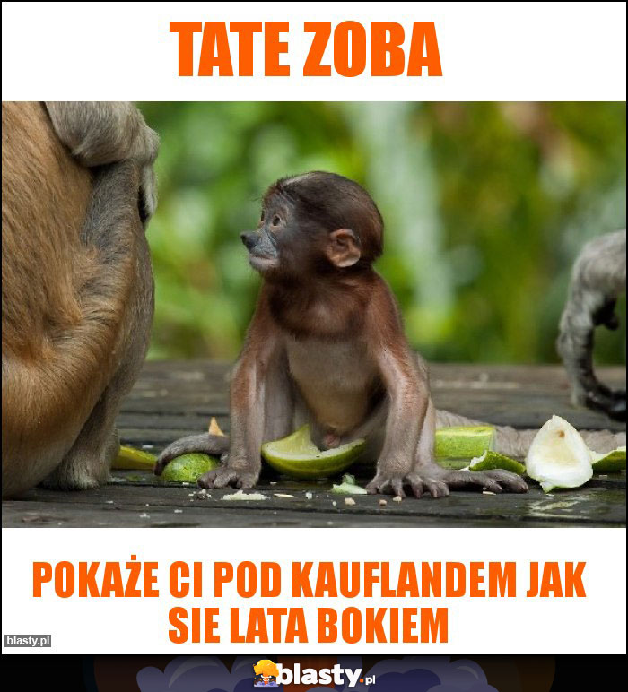 Tate zoba