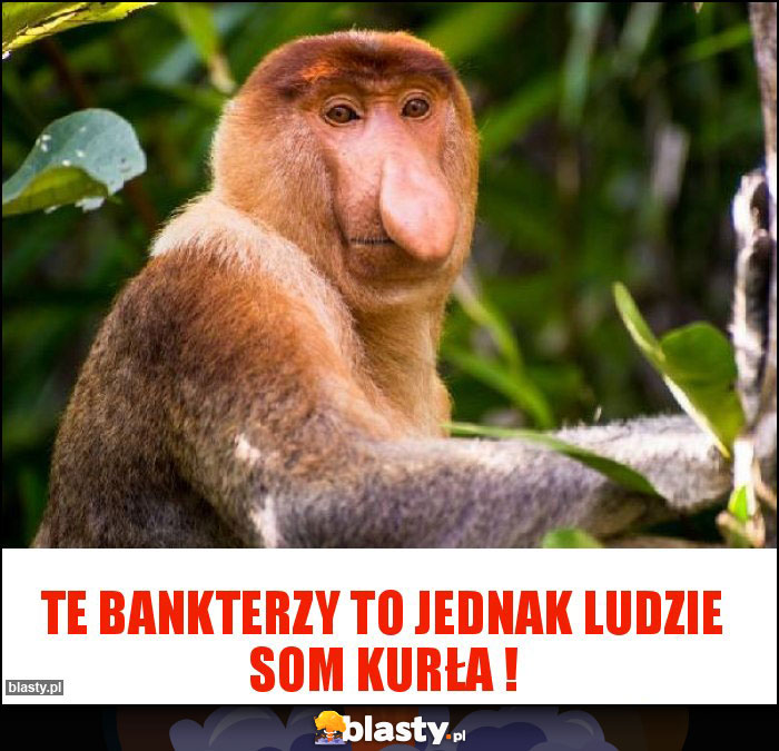 Te bankterzy to jednak ludzie som kurła !