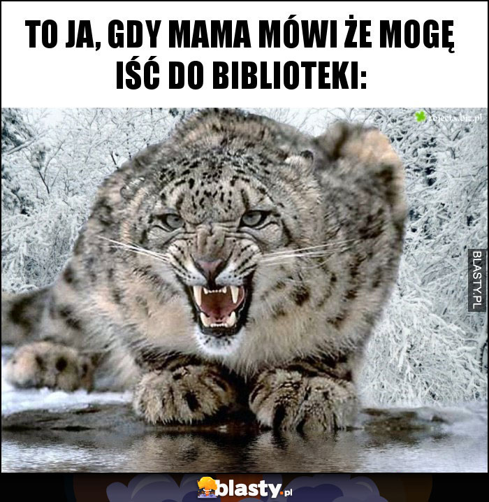 to ja, gdy mama mówi że mogę iść do biblioteki: