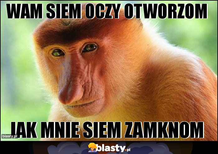 Wam siem oczy otworzom