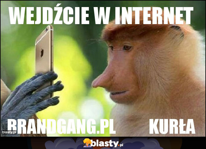 Wejdźcie w internet