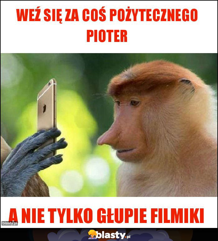 Weź się za coś pożytecznego Pioter