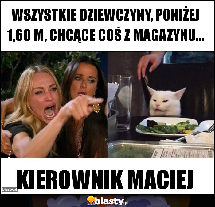 Wszystkie dziewczyny, poniżej 1,60 m, chcące coś z magazynu...