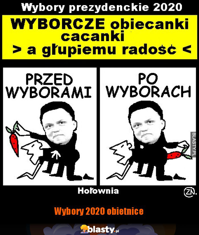 Wybory 2020 obietnice