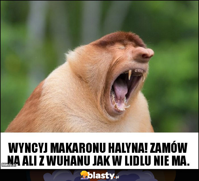 Wyncyj makaronU Halyna! Zamów na Ali z Wuhanu jak w Lidlu nie ma.