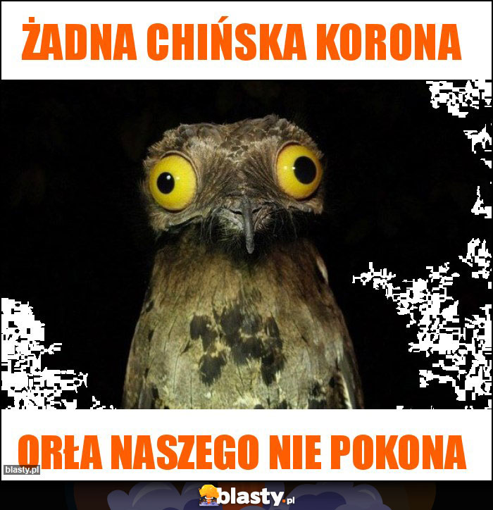 Żadna chińska Korona