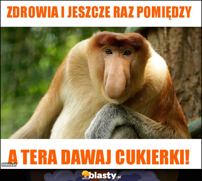 Zdrowia i jeszcze raz pomiędzy