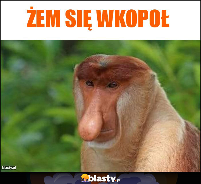 Żem się wkopoł