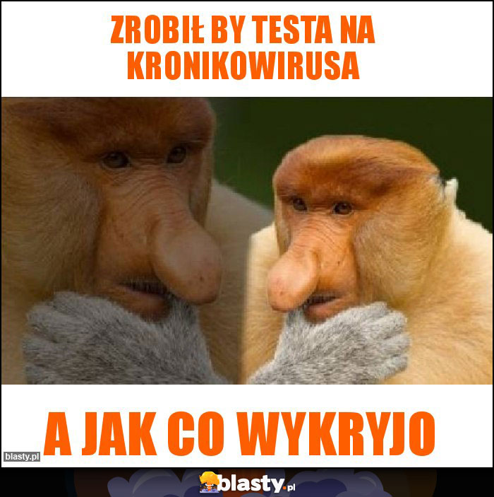 Zrobił by testa na kronikowirusa