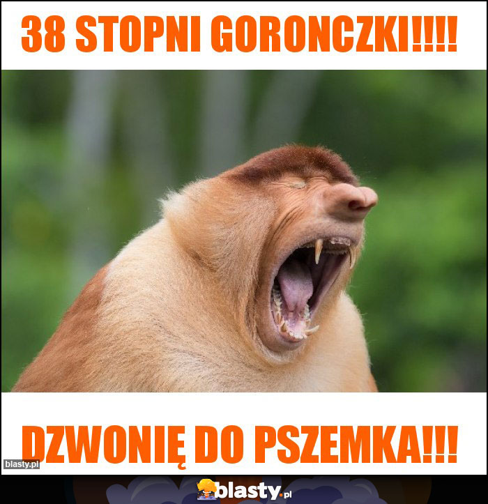 38 stopni goronczki!!!!