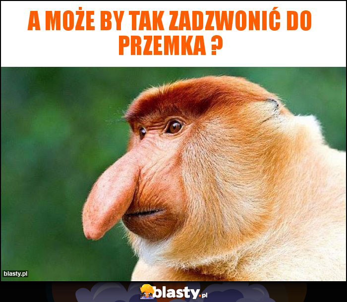 A może by tak zadzwonić do Przemka ?