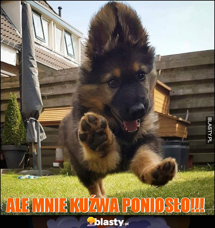 ale mnie kuźwa poniosło!!!