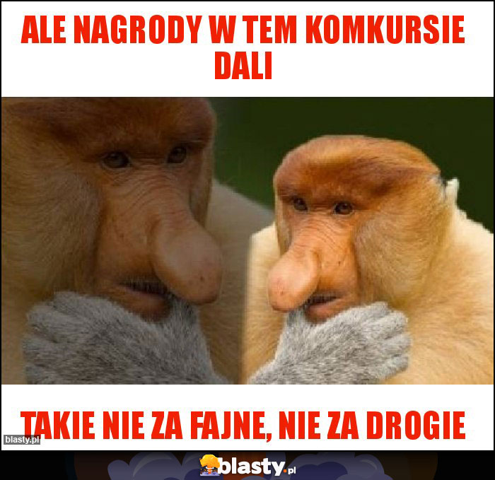 Ale nagrody w tem komkursie dali