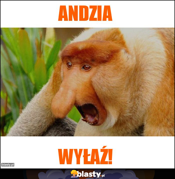 ANDZIA