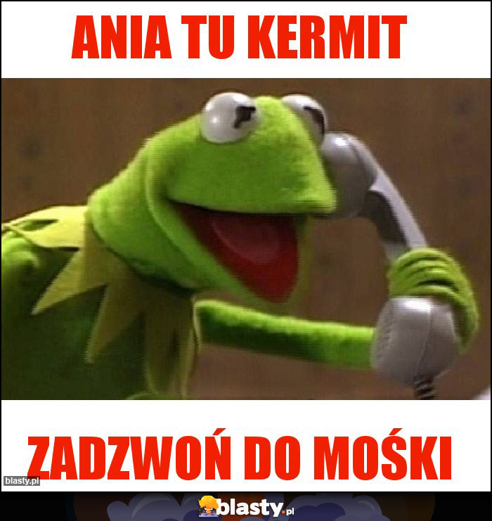 Ania tu kermit