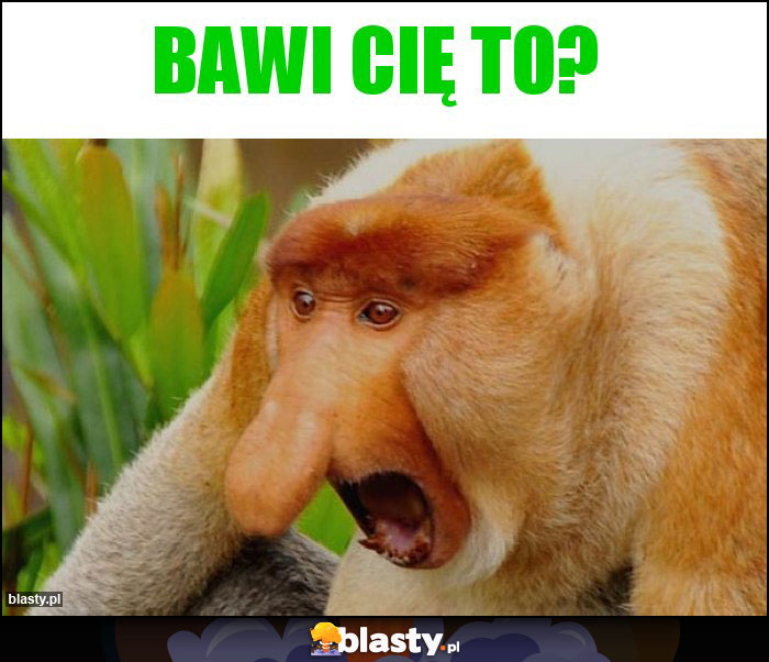 Bawi cię to?