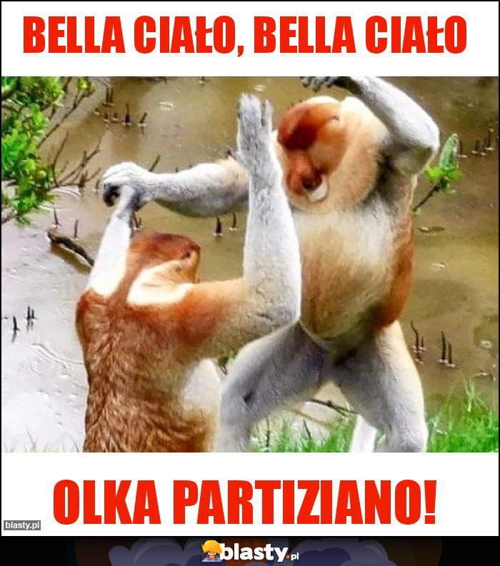 Bella ciało, bella ciało